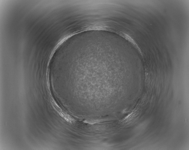 X0000060551035200511171533