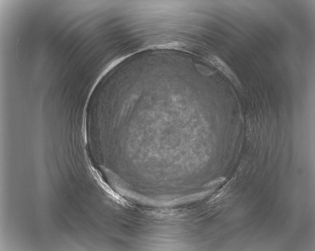 X0000060551036200511171533