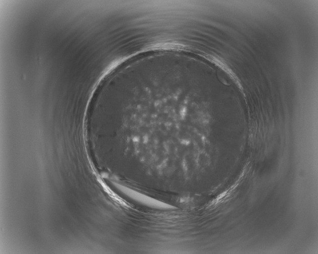 X0000060551037200511171533