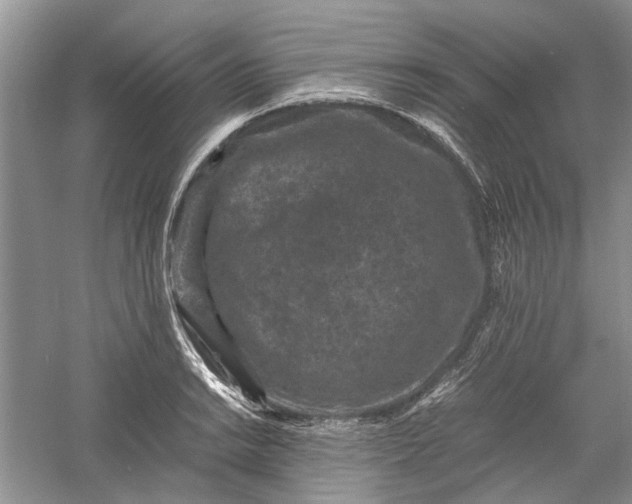 X0000060551038200511171533