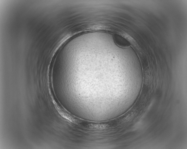 X0000060551039200511171533