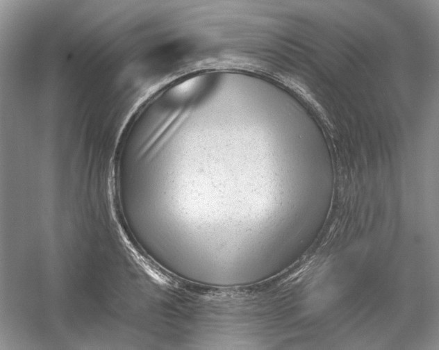 X0000060551040200511171533