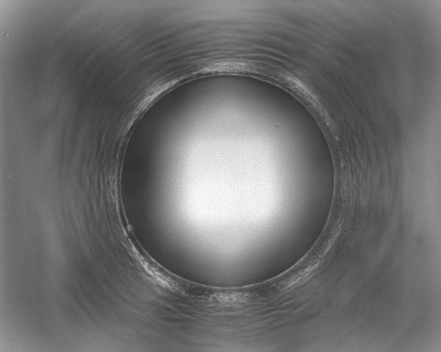 X0000060551041200511171533