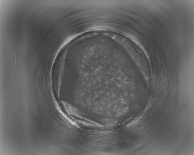 X0000060551045200511171533