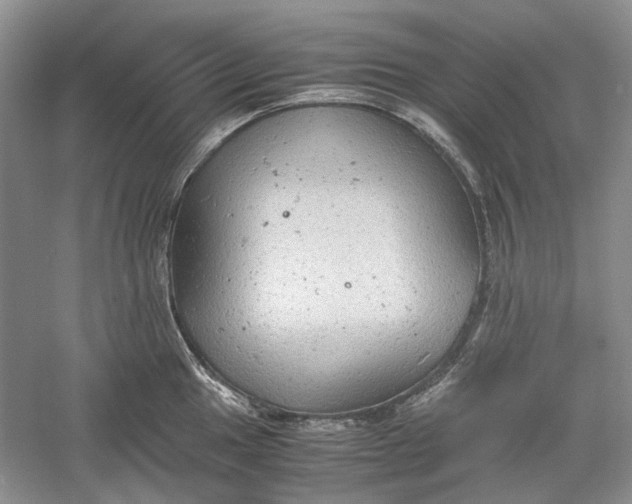 X0000060551049200511171534