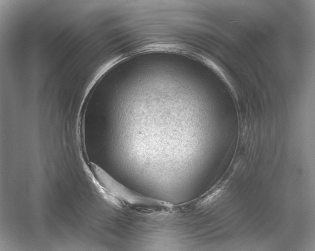 X0000060551050200511171534