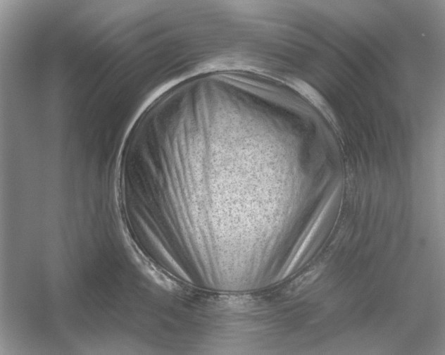 X0000060551052200511171534