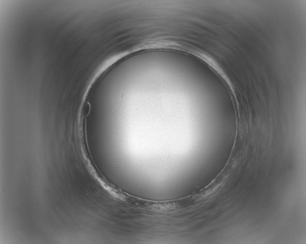 X0000060551053200511171534