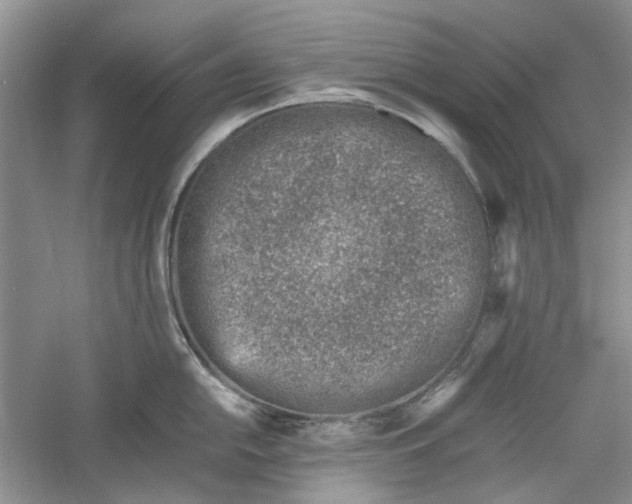 X0000060551054200511171534