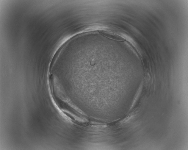 X0000060551055200511171534