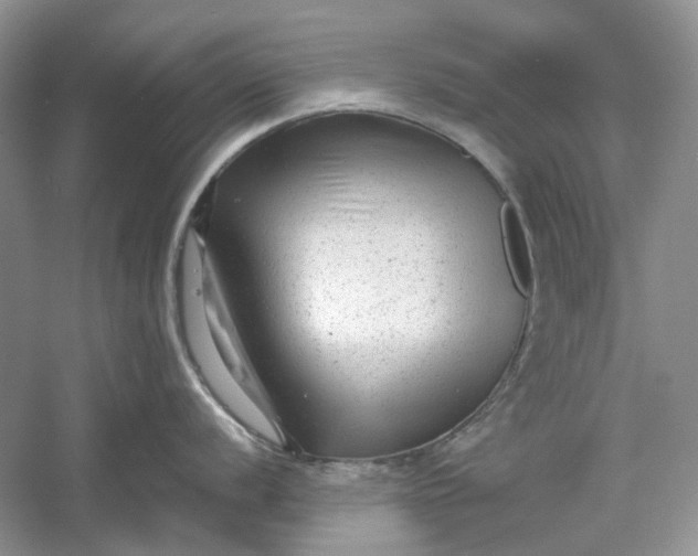 X0000060551056200511171534