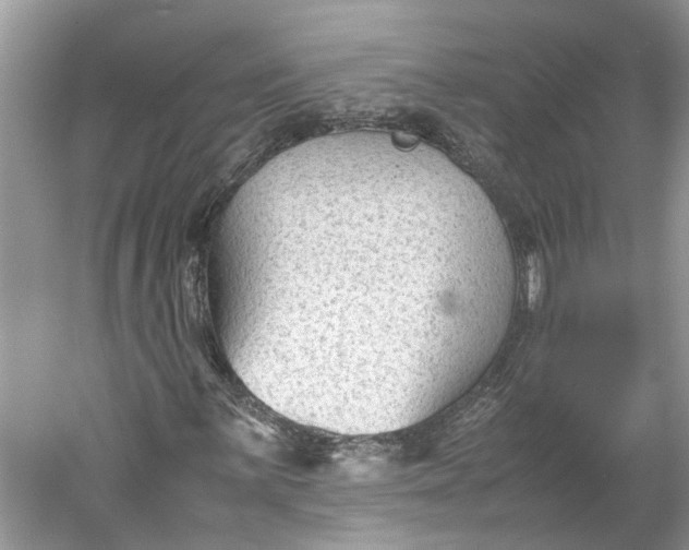 X0000060551059200511171533