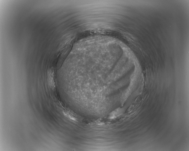 X0000060551060200511171533