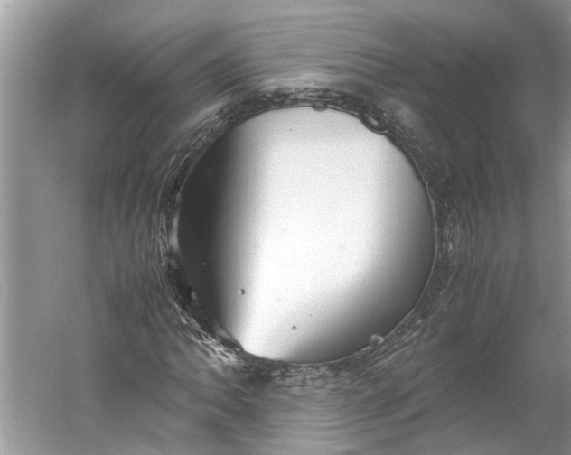 X0000060551062200511171533