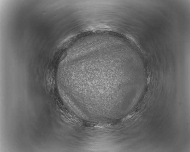 X0000060551063200511171533