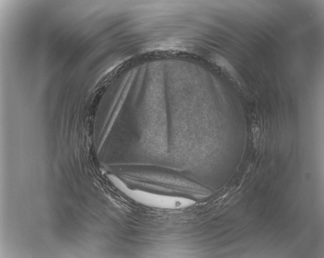 X0000060551064200511171533