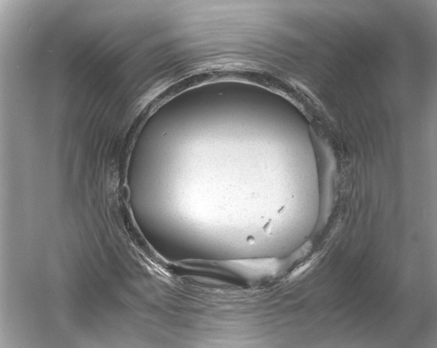 X0000060551065200511171533