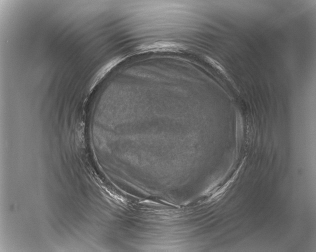 X0000060551066200511171533