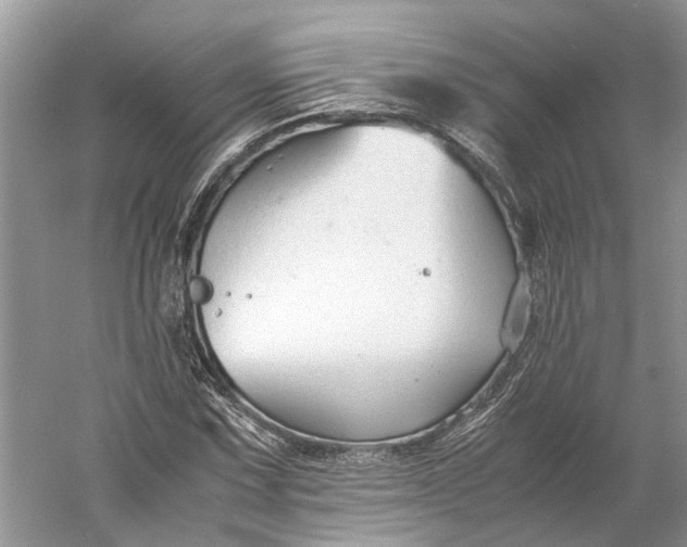 X0000060551067200511171533