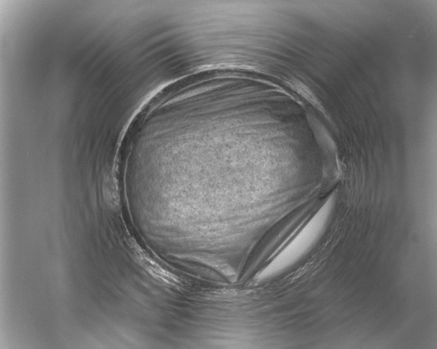 X0000060551068200511171533