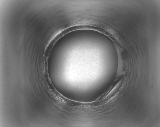 X0000060551069200511171533