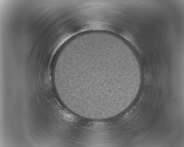 X0000060551070200511171533