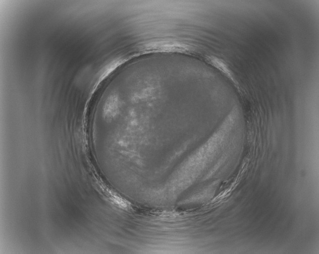 X0000060551071200511171533