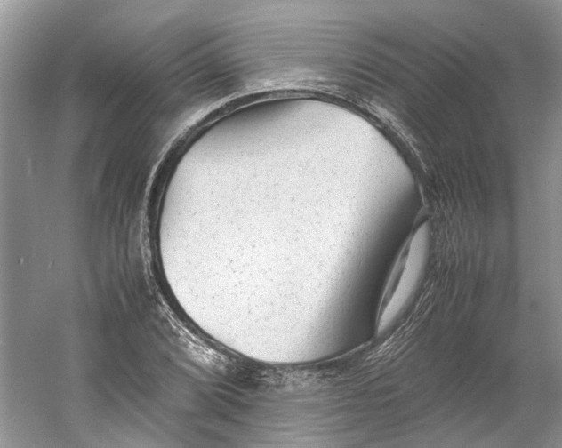 X0000060551072200511171533