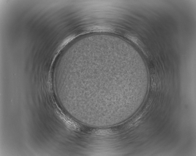 X0000060551074200511171533