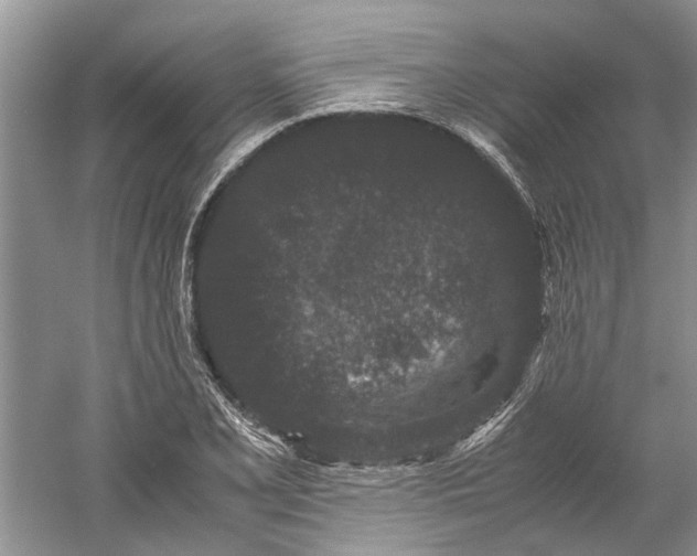 X0000060551077200511171532