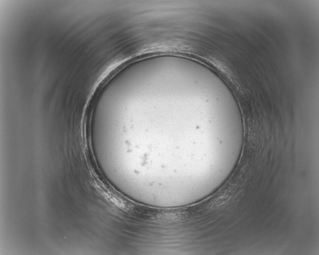 X0000060551078200511171532