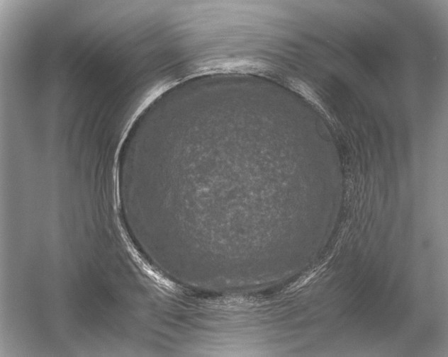 X0000060551079200511171532