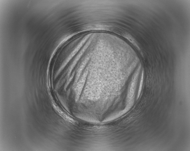 X0000060551080200511171532