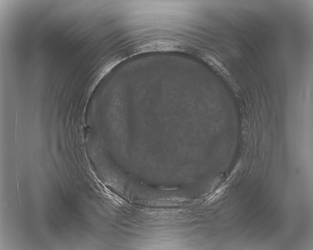 X0000060551081200511171532