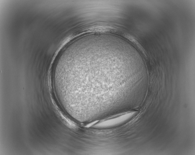 X0000060551083200511171532