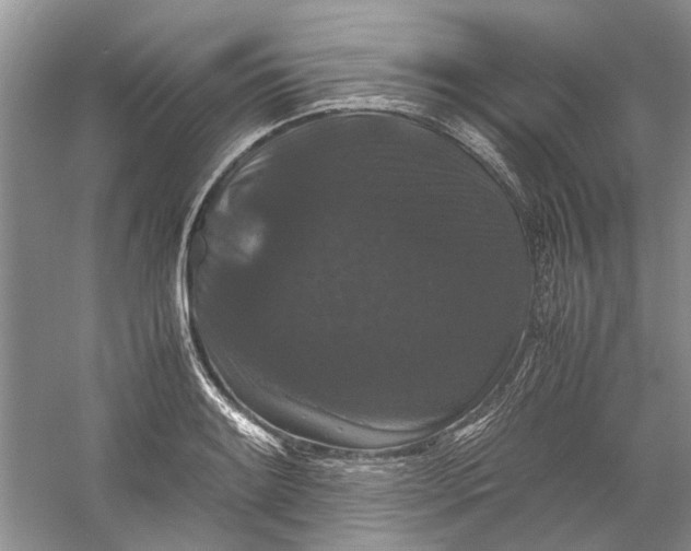 X0000060551084200511171532