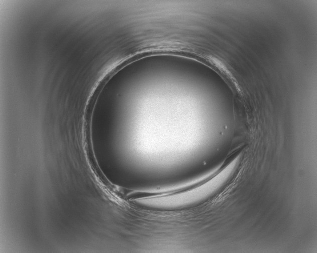 X0000060551085200511171532