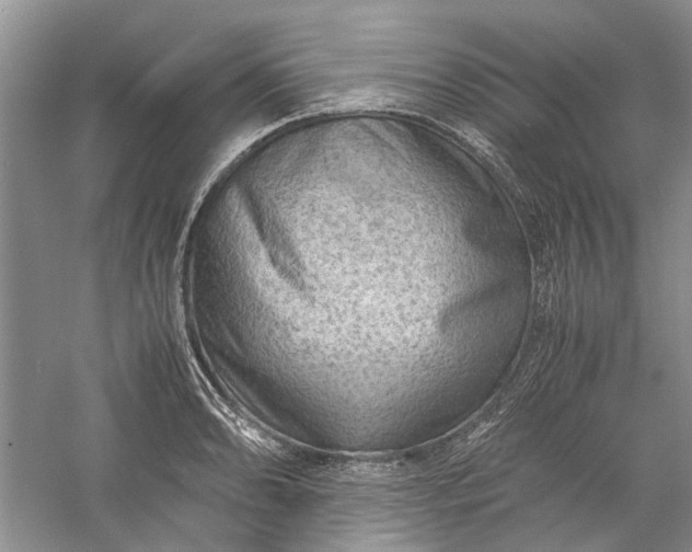 X0000060551086200511171532