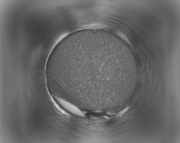 X0000060551087200511171532