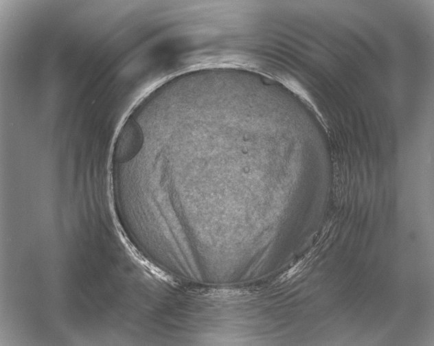 X0000060551088200511171532