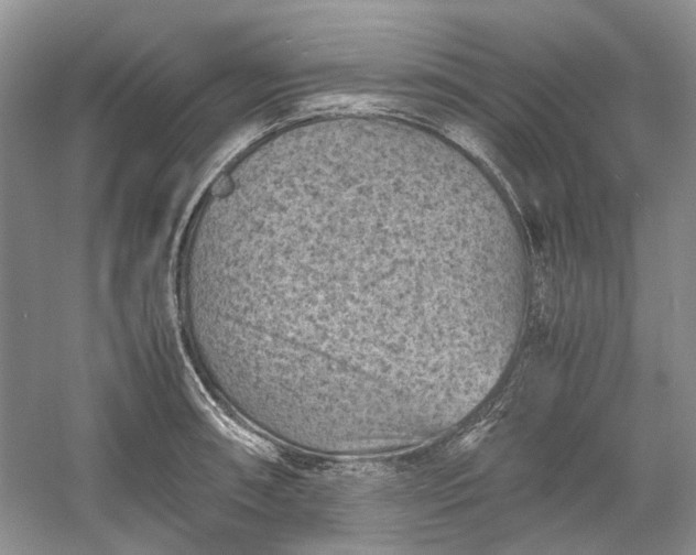 X0000060551090200511171532