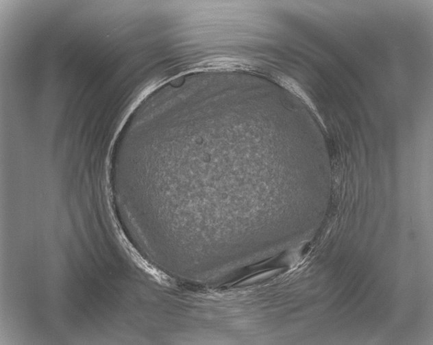 X0000060551091200511171532