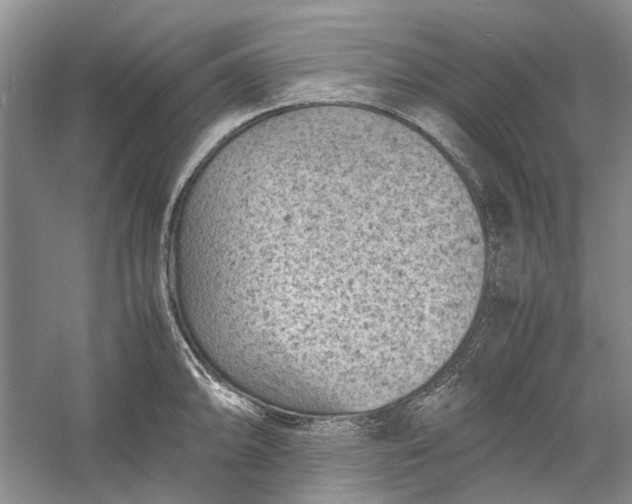 X0000060551094200511171532