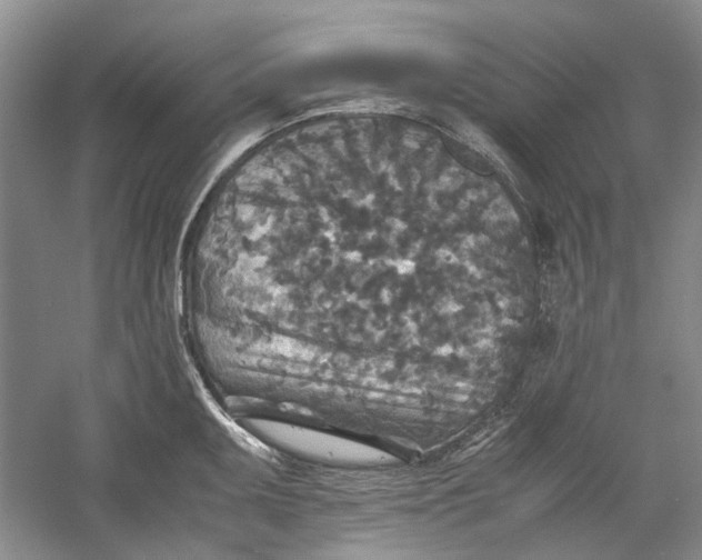 X0000060551095200511171532