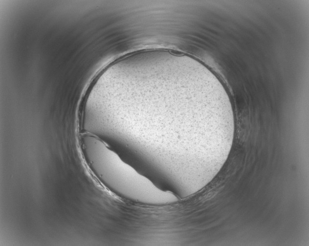 X0000060551096200511171532