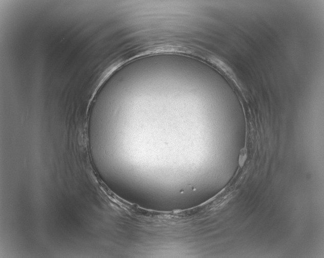 X0000060551097200511171532