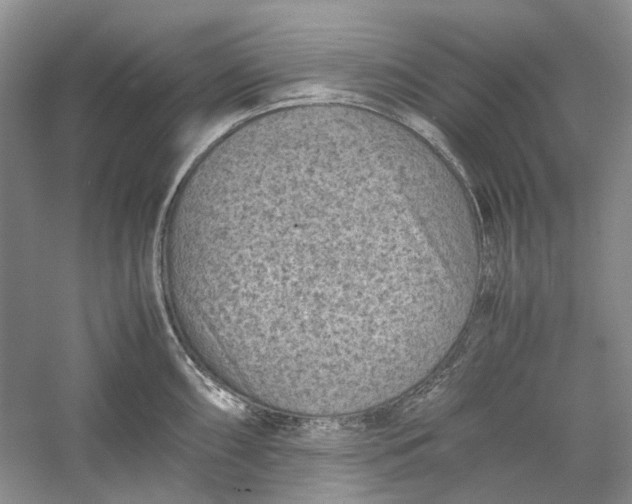 X0000060551098200511171532