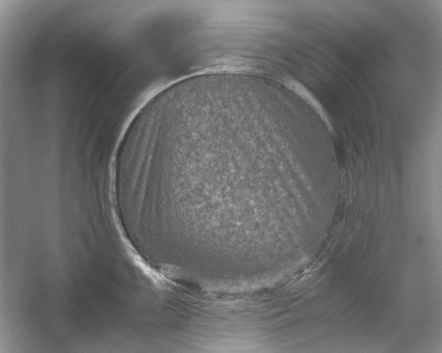 X0000060551099200511171532