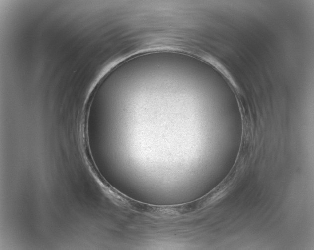 X0000060551101200511171532