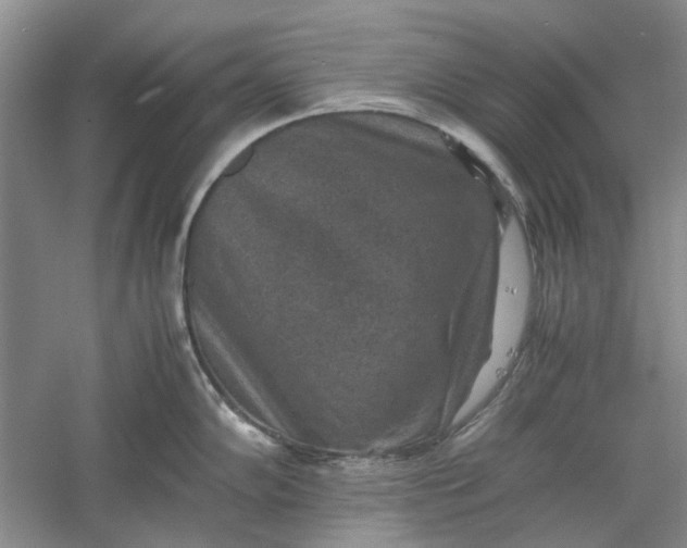 X0000060551102200511171532